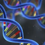 粪便DNA检测样本采集套装示意图