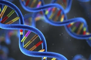 粪便DNA检测样本采集套装示意图