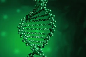 结肠镜检查发现腺瘤性息肉示意图