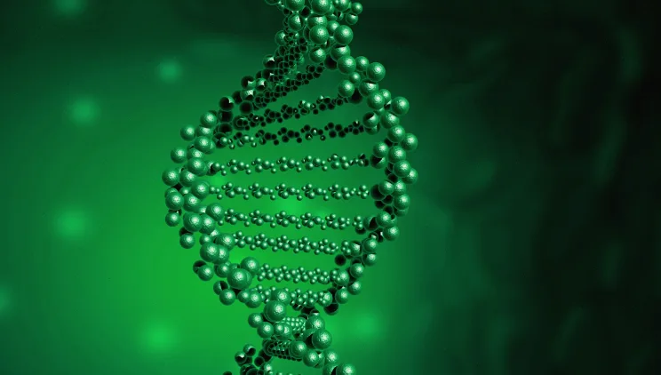 结肠镜检查发现腺瘤性息肉示意图