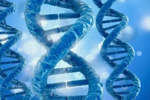 EGFR信号通路与RAS/BRAF基因作用示意图