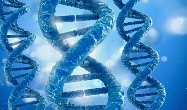 EGFR信号通路与RAS/BRAF基因作用示意图