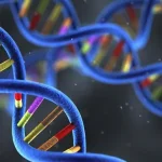 PD-L1免疫检查点作用机制示意图