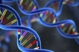 PD-L1免疫检查点作用机制示意图