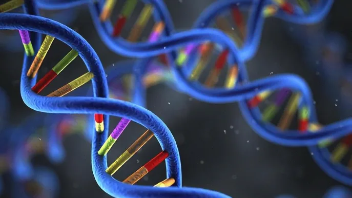PD-L1免疫检查点作用机制示意图