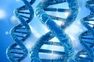 HER2阳性乳腺癌细胞示意图