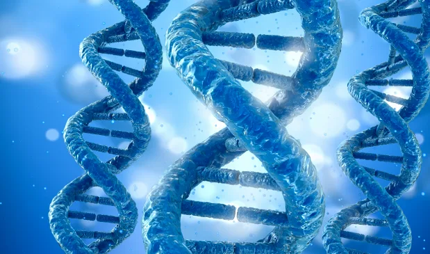 HER2阳性乳腺癌细胞示意图