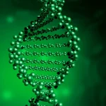 PI3K/AKT/mTOR信号通路示意图