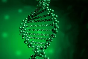 PI3K/AKT/mTOR信号通路示意图