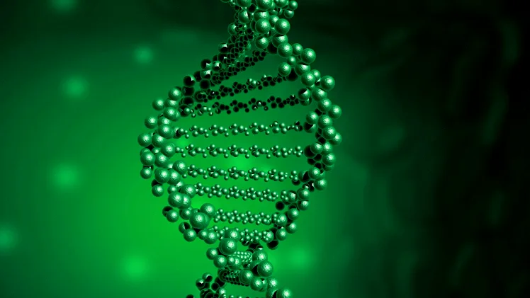 PI3K/AKT/mTOR信号通路示意图