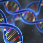 细胞周期G1期到S期转换示意图