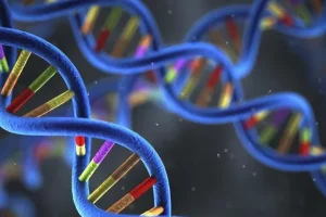 细胞周期G1期到S期转换示意图