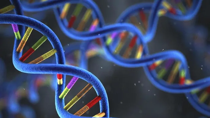 细胞周期G1期到S期转换示意图