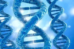 基因检测报告示例图