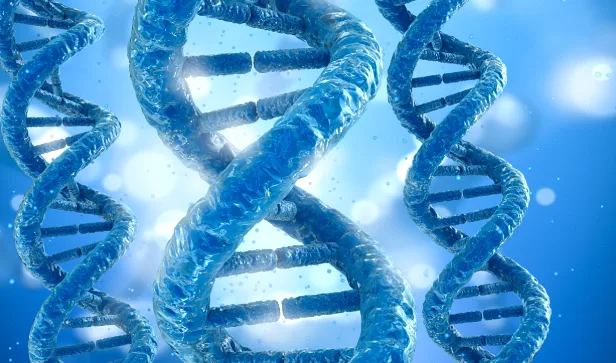 基因检测报告示例图