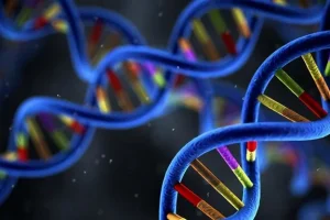 假性软骨发育不全患儿体型特征示意图