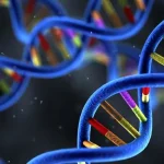 斯蒂克勒综合征患者眼部病变示意图