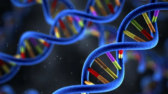 斯蒂克勒综合征患者眼部病变示意图