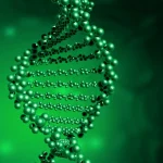 皮肤弹性过度演示图