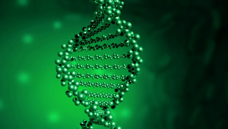 皮肤弹性过度演示图