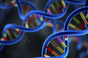 基因检测采样过程示意图