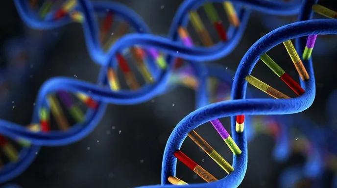 基因检测采样过程示意图