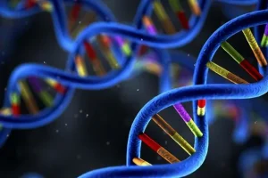 遗传性肿瘤基因检测流程示意图