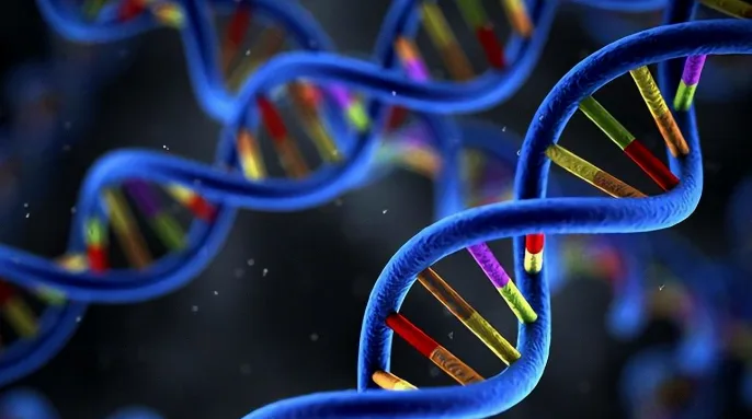 遗传性肿瘤基因检测流程示意图