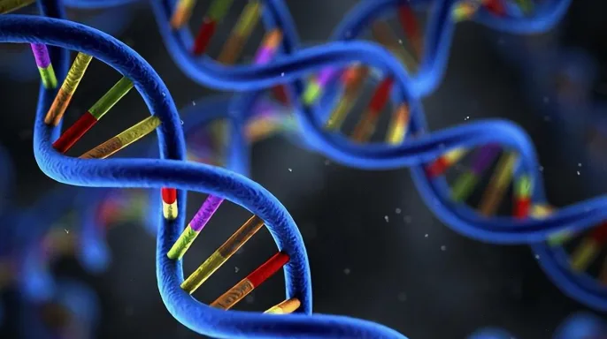 遗传性肿瘤家族谱系分析图