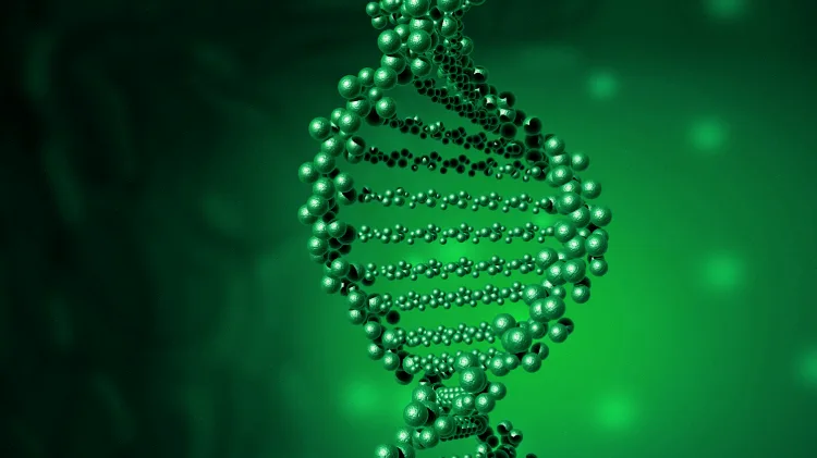 癫痫相关基因染色体定位图