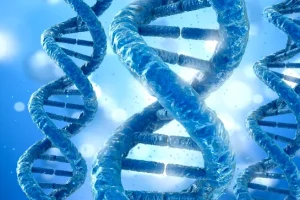 医生与患者讨论基因检测报告