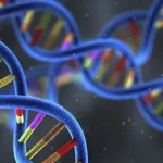 遗传性肿瘤家族图谱：三代家族成员癌症分布可视化