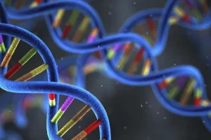 遗传性肿瘤家族图谱：三代家族成员癌症分布可视化