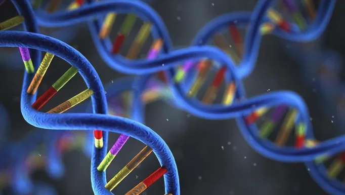 遗传性肿瘤家族图谱：三代家族成员癌症分布可视化