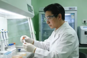 BRCA基因结构示意图与常见突变位点