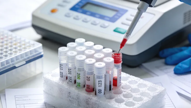 EGFR信号通路与西妥昔单抗作用机制示意图