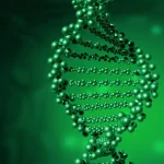 遗传性视网膜病变患者眼底影像