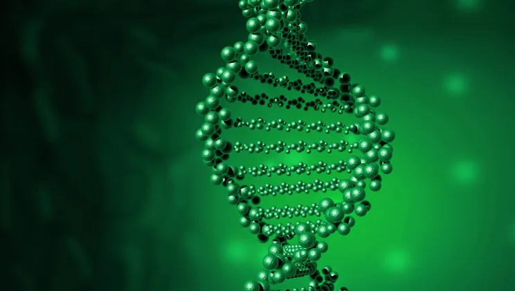 遗传性视网膜病变患者眼底影像