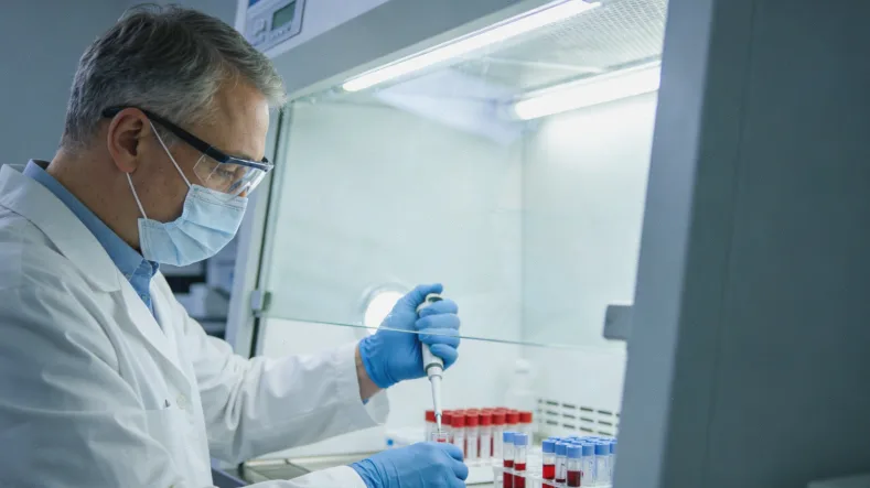 抗血管生成药物作用机制图