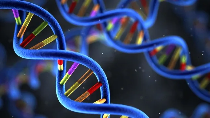 注意力基因检测报告样本图示