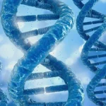 多巴胺通路基因作用机制示意图