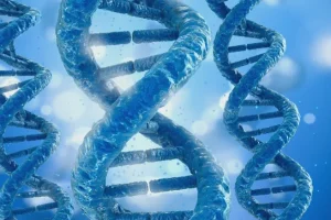 多巴胺通路基因作用机制示意图