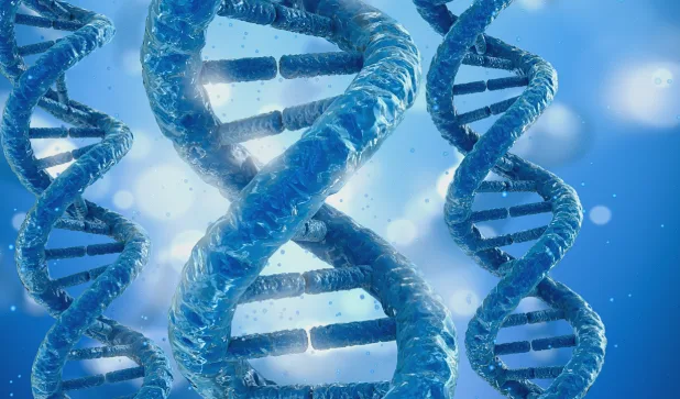 多巴胺通路基因作用机制示意图