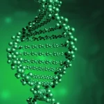 医生向家庭解释基因检测报告