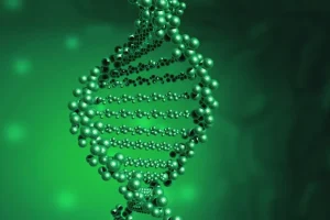 医生向家庭解释基因检测报告