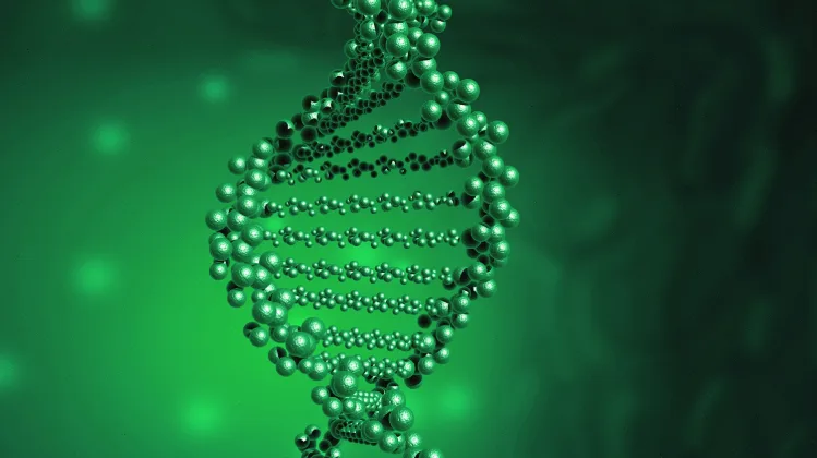 医生向家庭解释基因检测报告